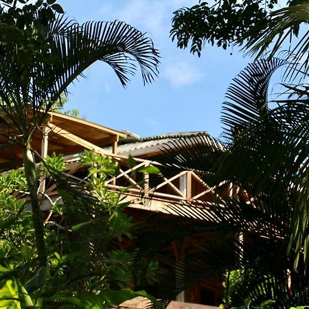 بوكاس تاون Eden Jungle Lodge المظهر الخارجي الصورة