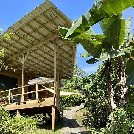 بوكاس تاون Eden Jungle Lodge المظهر الخارجي الصورة