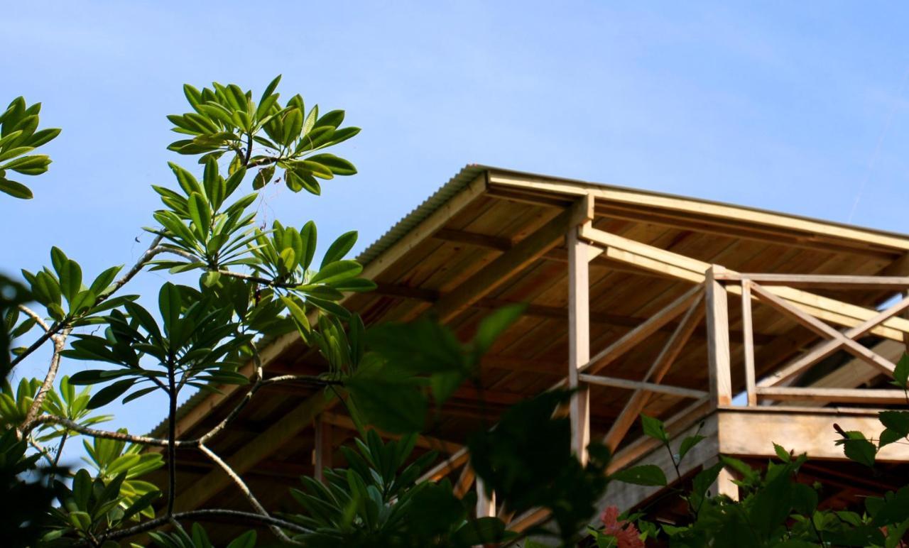 بوكاس تاون Eden Jungle Lodge المظهر الخارجي الصورة