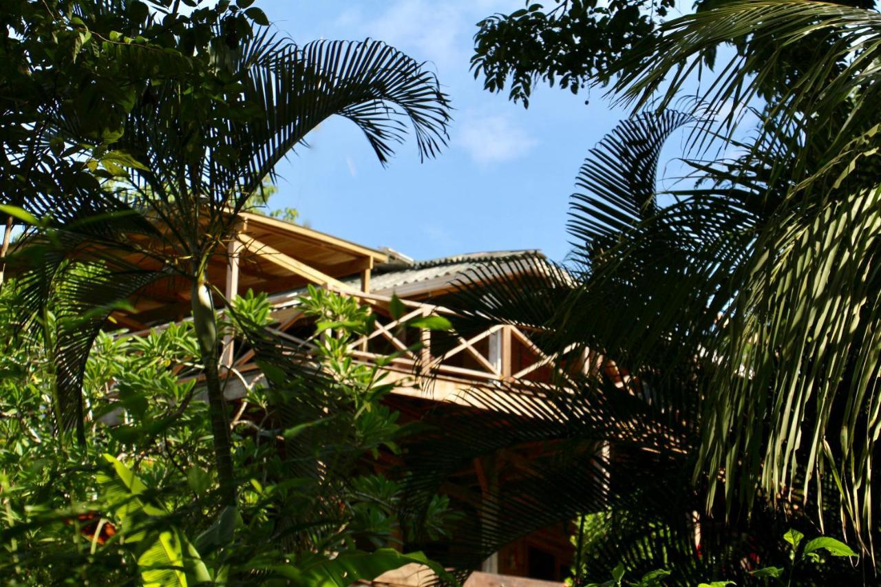 بوكاس تاون Eden Jungle Lodge المظهر الخارجي الصورة