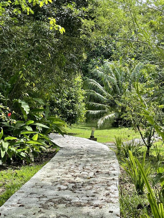 بوكاس تاون Eden Jungle Lodge المظهر الخارجي الصورة