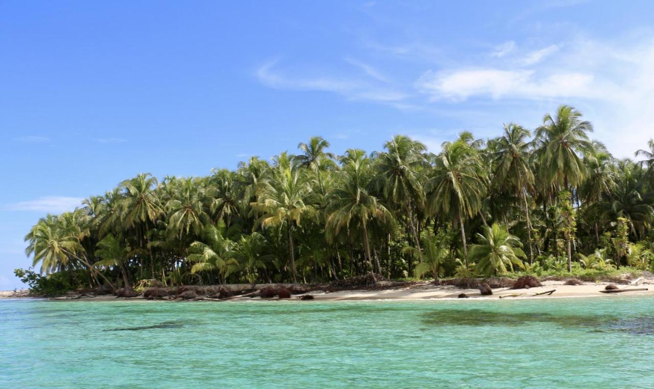 بوكاس تاون Eden Jungle Lodge المظهر الخارجي الصورة