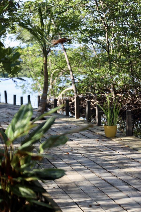بوكاس تاون Eden Jungle Lodge المظهر الخارجي الصورة