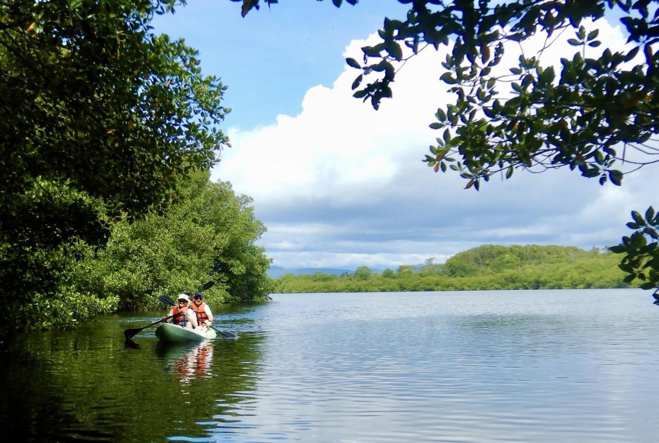 بوكاس تاون Eden Jungle Lodge المظهر الخارجي الصورة