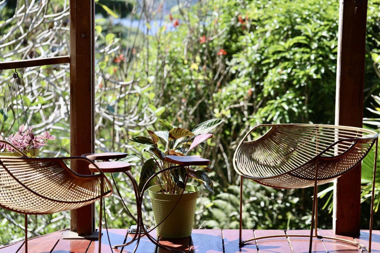 بوكاس تاون Eden Jungle Lodge المظهر الخارجي الصورة