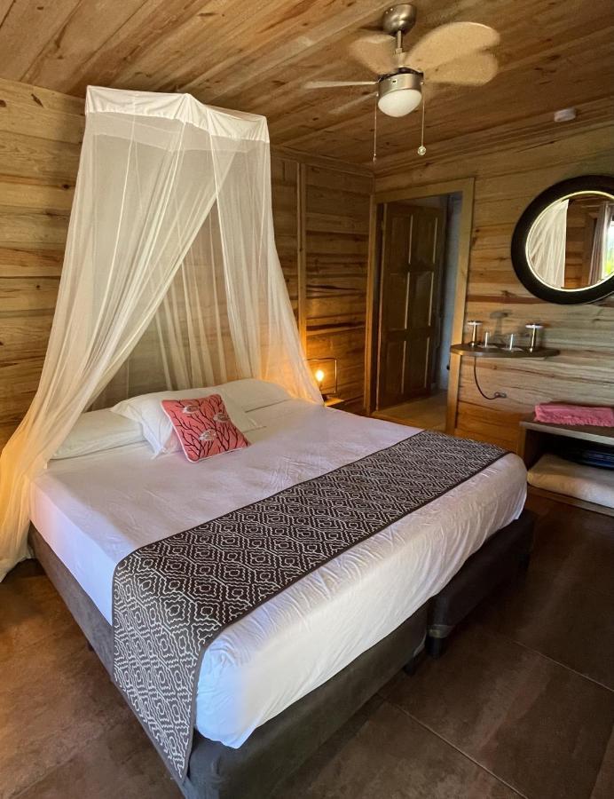 بوكاس تاون Eden Jungle Lodge المظهر الخارجي الصورة