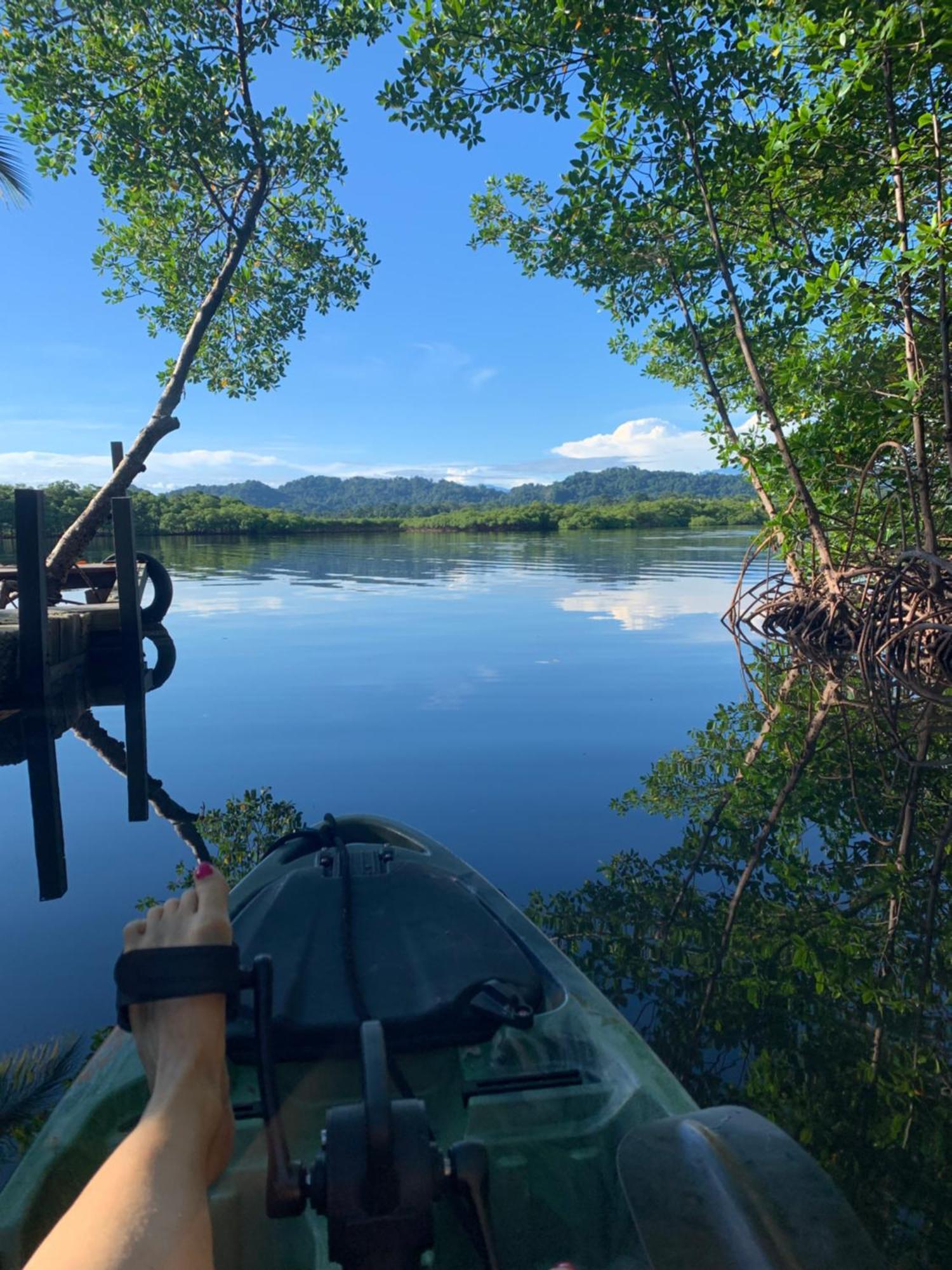 بوكاس تاون Eden Jungle Lodge المظهر الخارجي الصورة