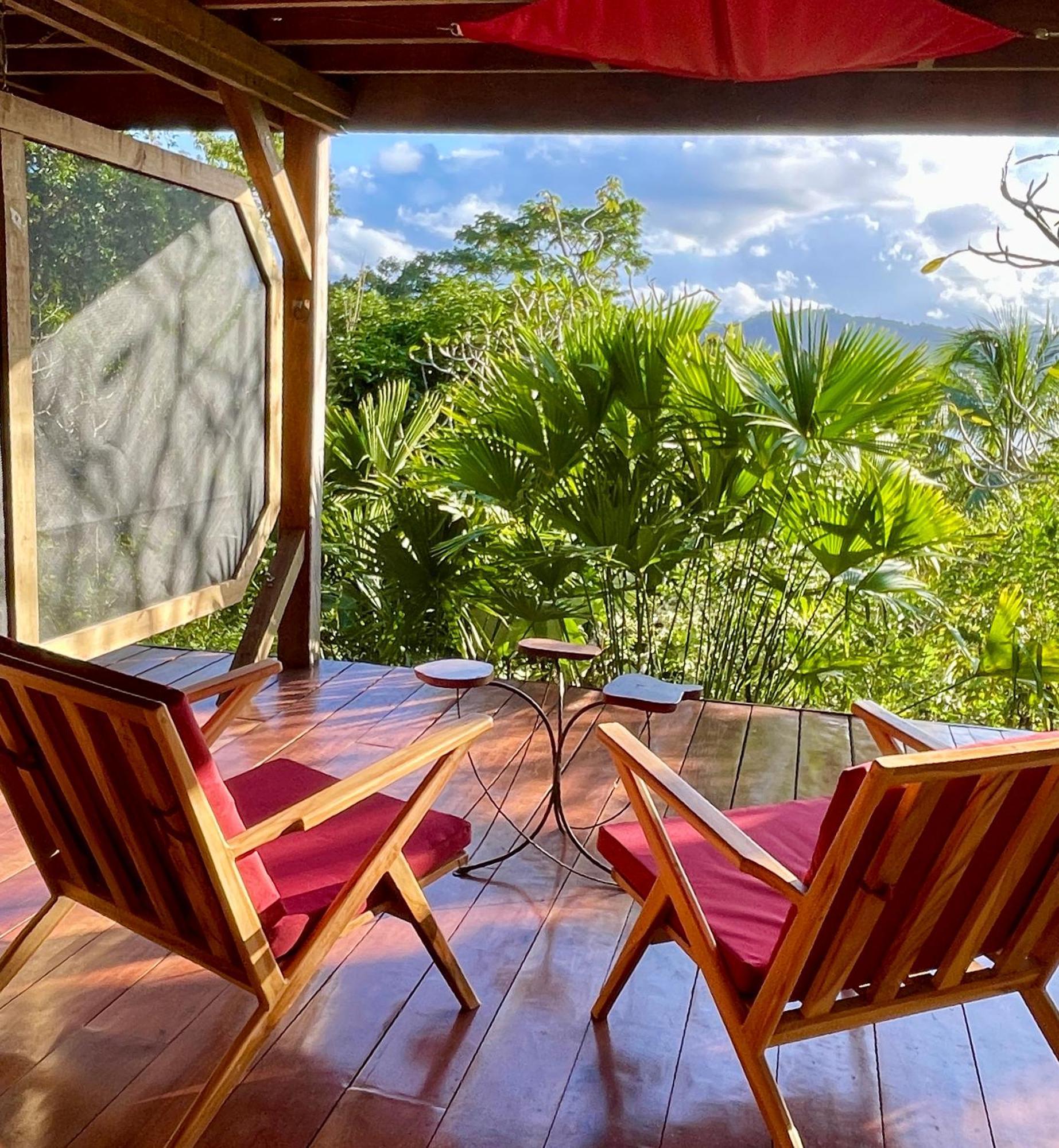 بوكاس تاون Eden Jungle Lodge المظهر الخارجي الصورة