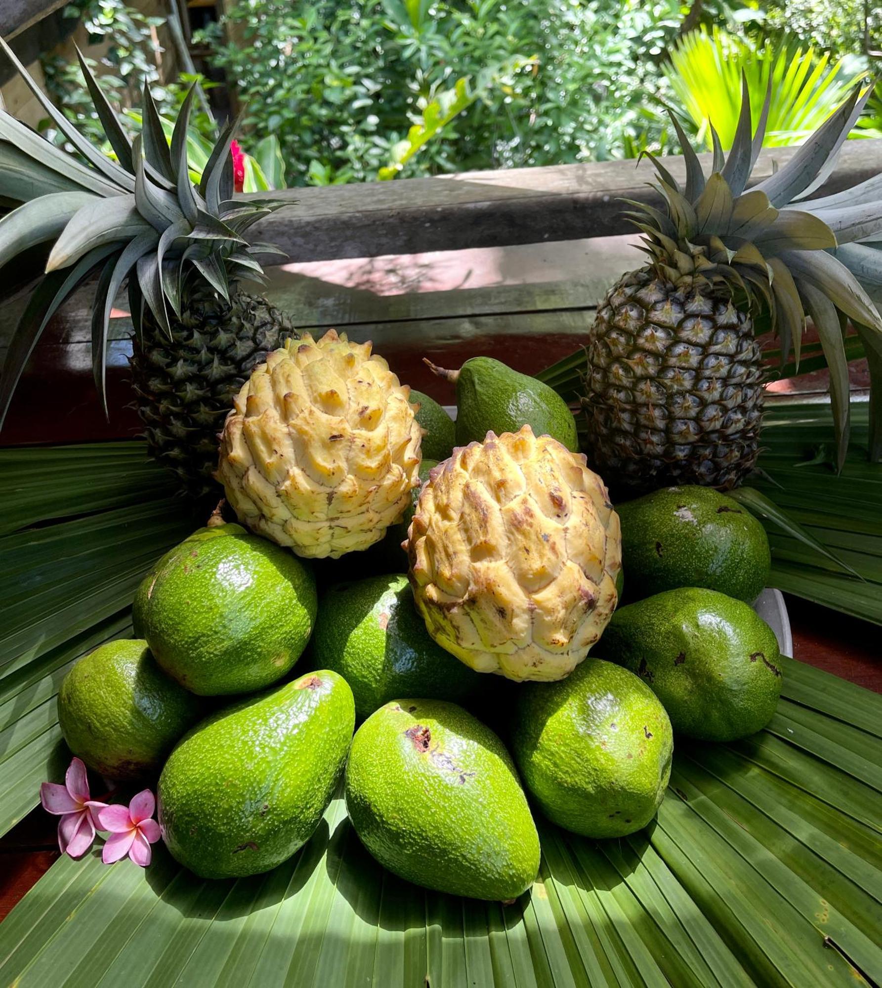 بوكاس تاون Eden Jungle Lodge المظهر الخارجي الصورة