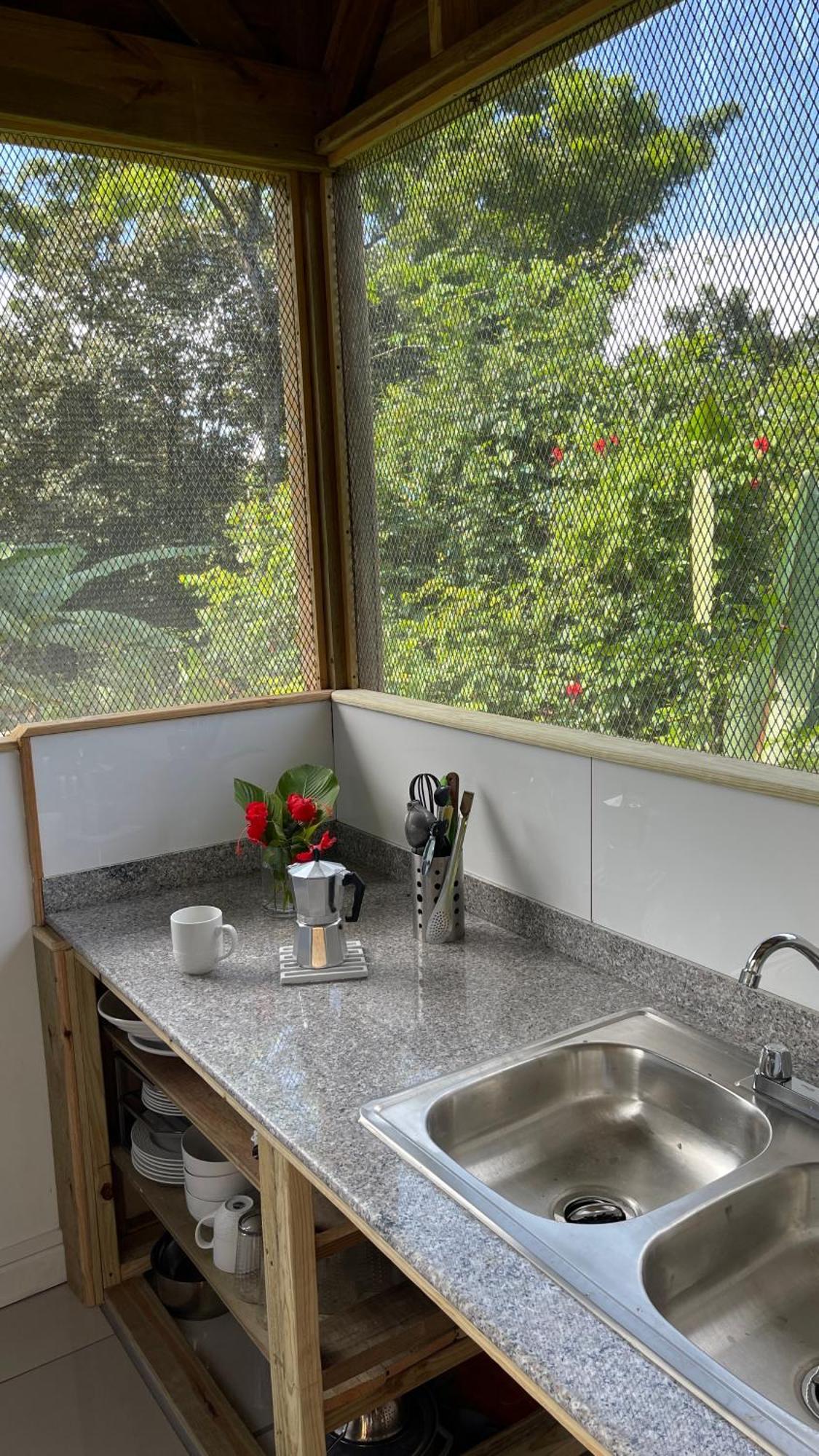 بوكاس تاون Eden Jungle Lodge المظهر الخارجي الصورة