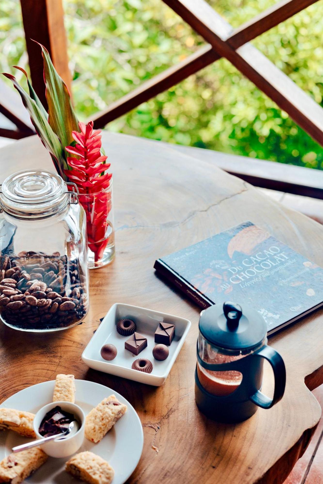 بوكاس تاون Eden Jungle Lodge المظهر الخارجي الصورة