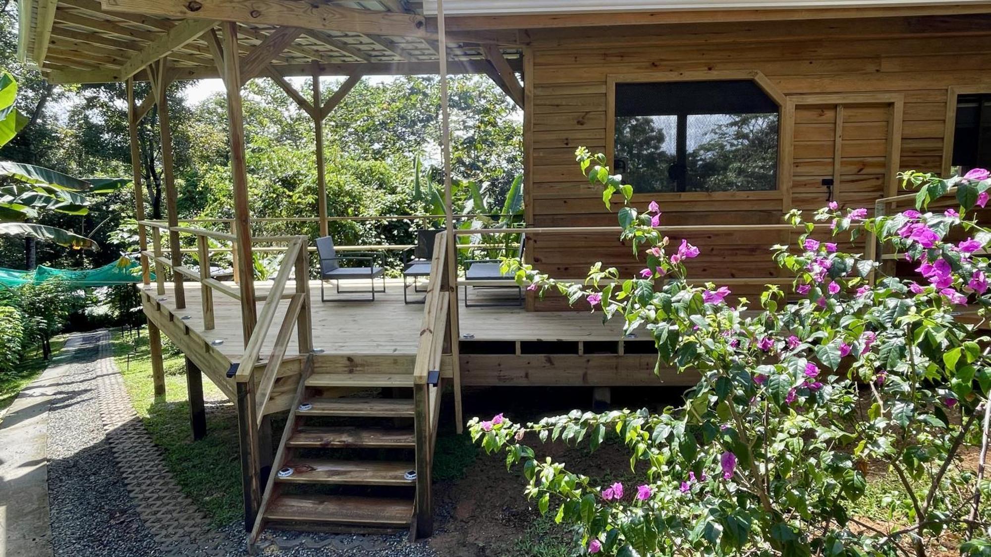 بوكاس تاون Eden Jungle Lodge المظهر الخارجي الصورة