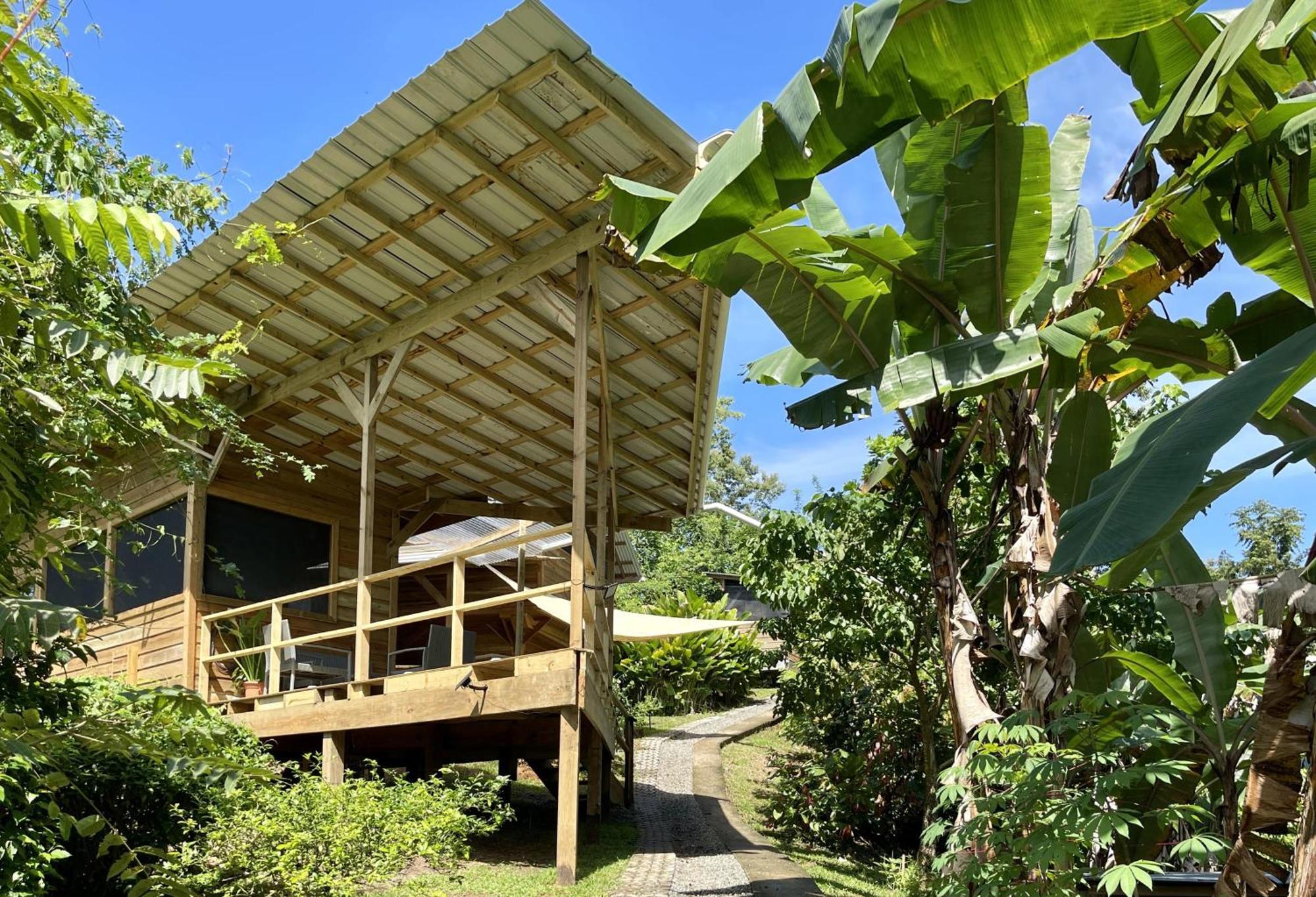 بوكاس تاون Eden Jungle Lodge المظهر الخارجي الصورة