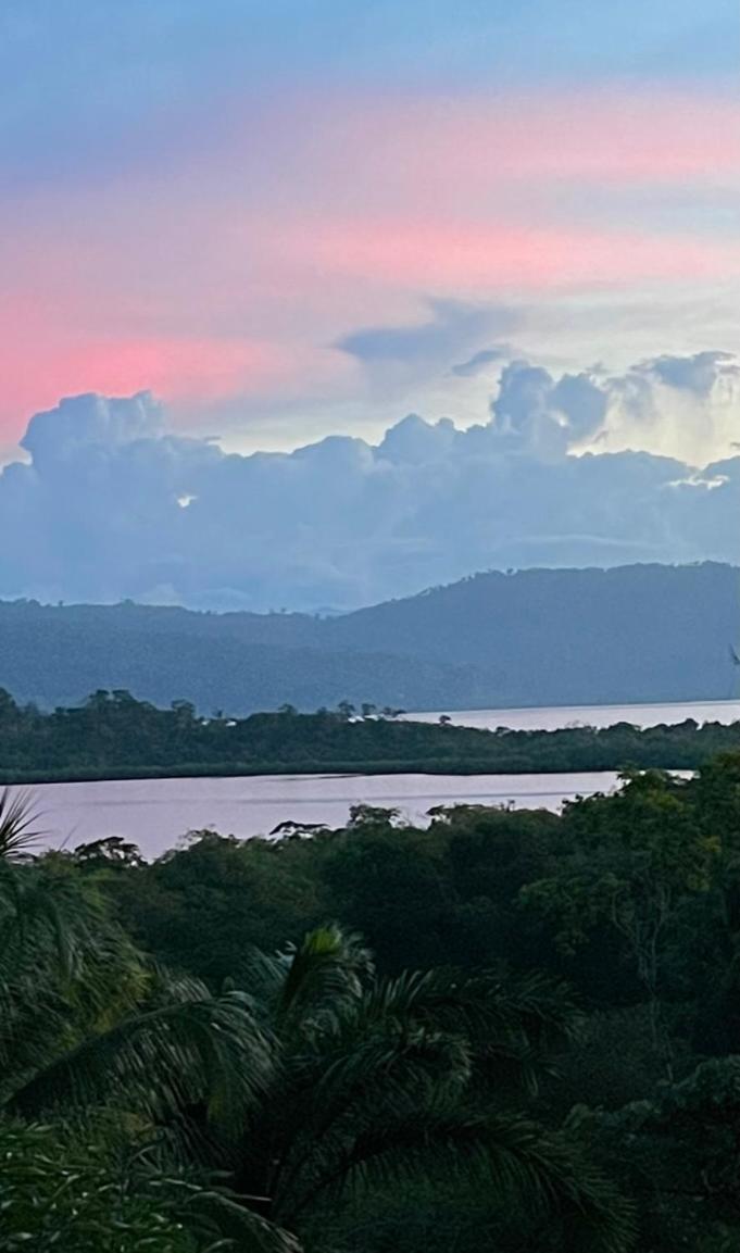 بوكاس تاون Eden Jungle Lodge المظهر الخارجي الصورة