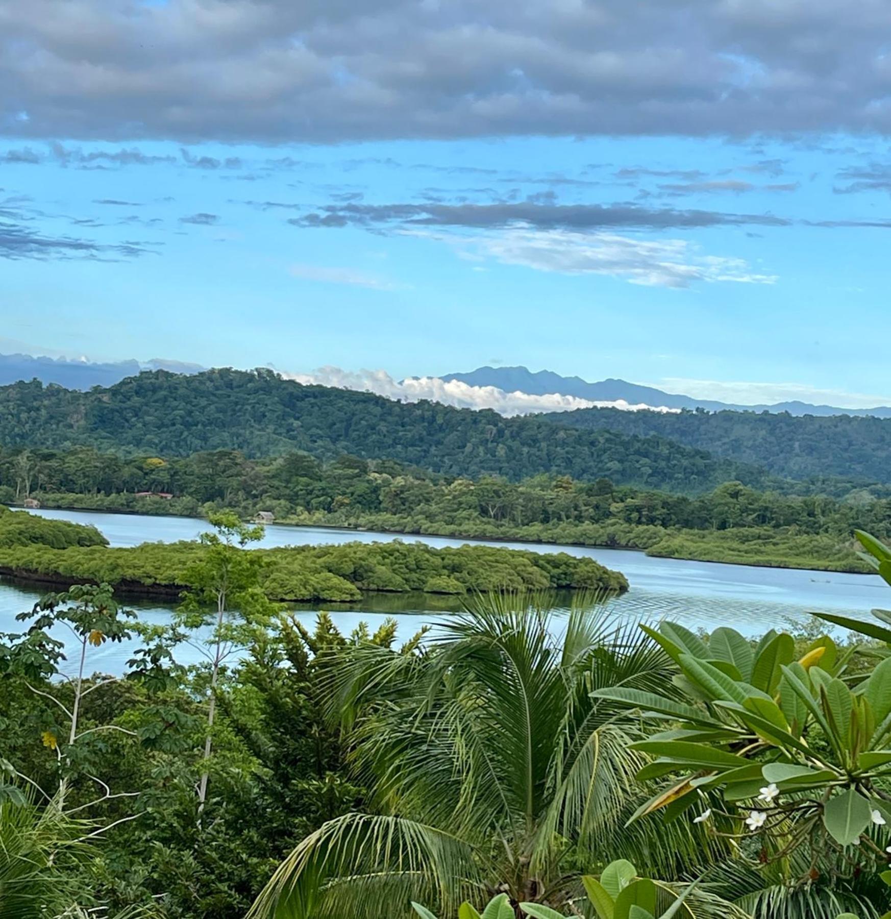 بوكاس تاون Eden Jungle Lodge المظهر الخارجي الصورة